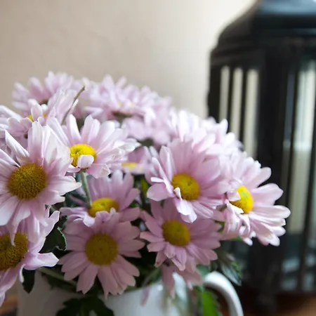 Am Hoken Отель 3*