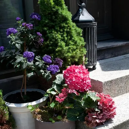 Am Hoken Отель 3*